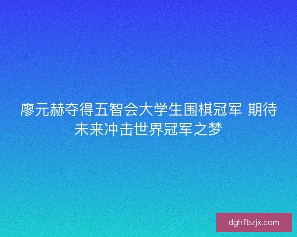 廖元赫夺得五智会大学生围棋冠军 期待未来冲击世界冠军之梦