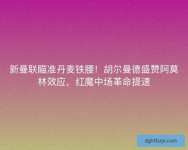 新曼联瞄准丹麦铁腰！胡尔曼德盛赞阿莫林效应，红魔中场革命提速